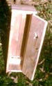 Outhouse thumbnail